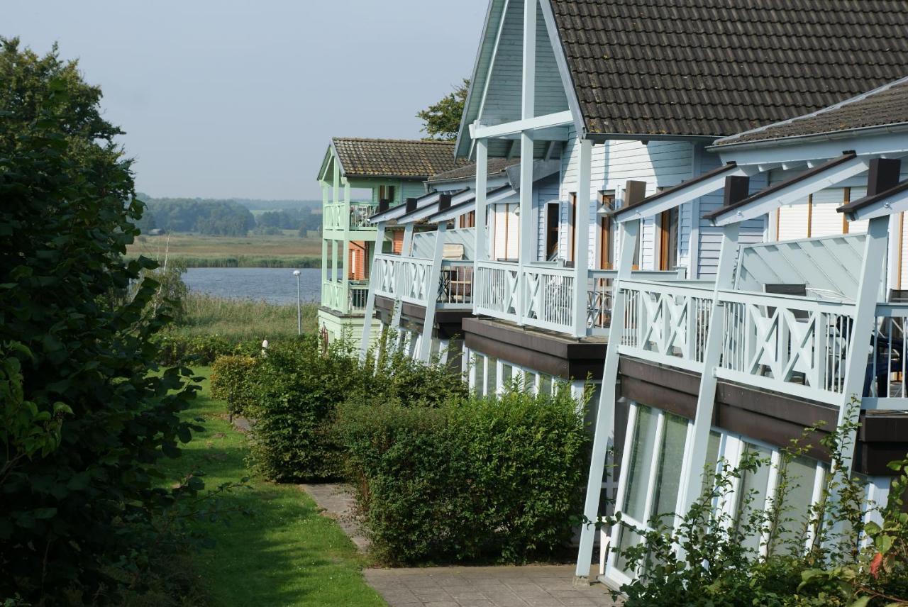 Appartement 6 Im Fischerhaus Mit Terrasse ゼリン エクステリア 写真
