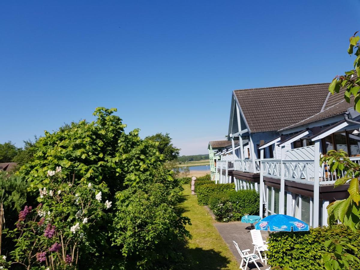 Appartement 6 Im Fischerhaus Mit Terrasse ゼリン エクステリア 写真